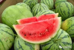 今日吃瓜每日,揭秘娱乐圈最新热点事件